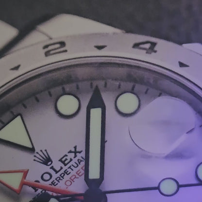 The Intrepid Adventurer